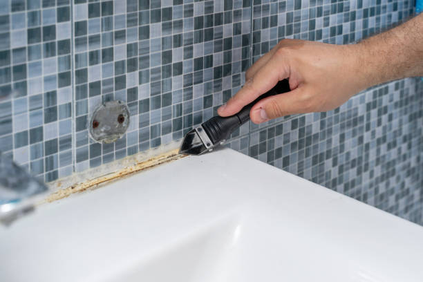 Best Residential Mold Remediation in Machesney Park, IL